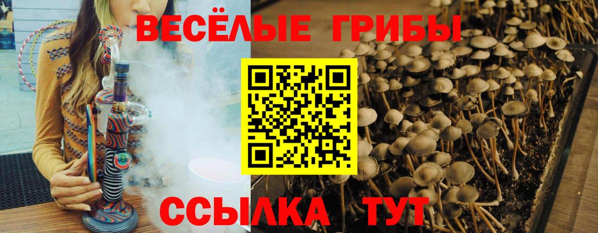Топки  Галлюциногенные грибы прущие грибы  где можно купить   Вход с VPN  Галлюциногенные грибы MAGIC MUSHROOMS 