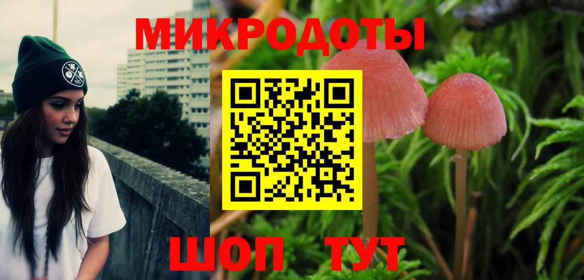 Псилоцибиновые грибы Cubensis Топки